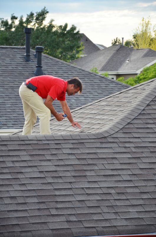 Professional Roofing Work